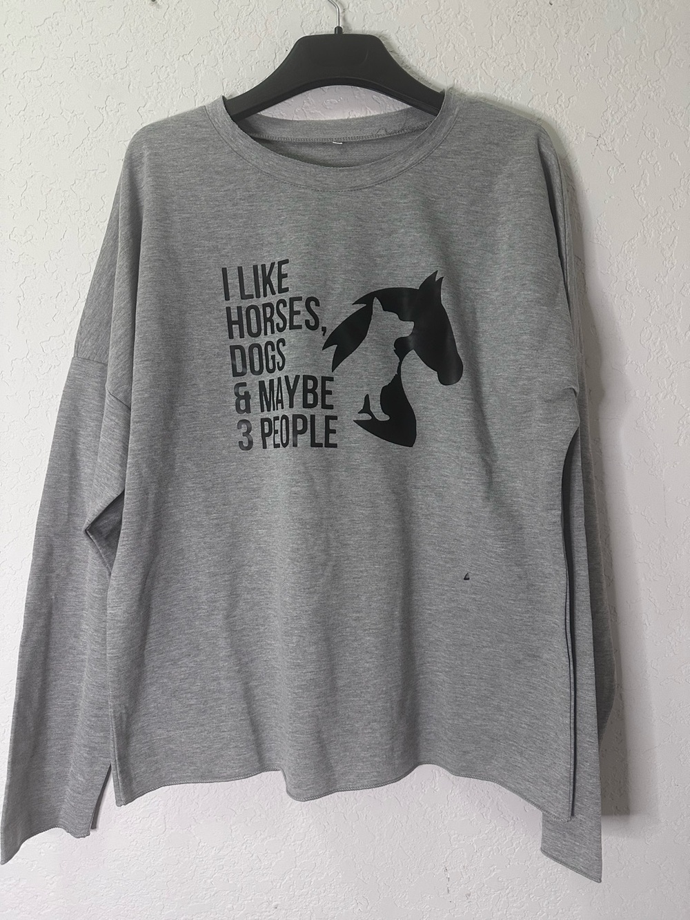 Gray Graphic Sweatshirt - "I Like Horses, Dogs & Maybe 3 People"